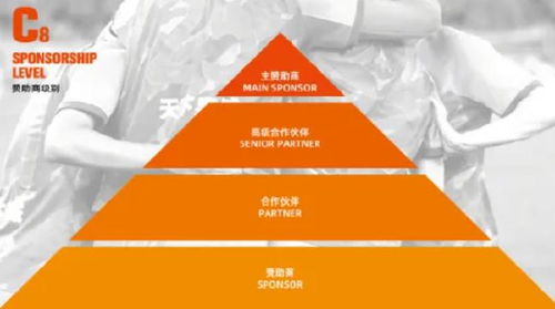 山东泰山开放冠名权招商，开启品牌合作新篇章