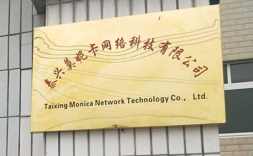 多元化业务布局下的企业核心竞争力构建——以软件开发、贸易代理与广告代理的协同发展为例